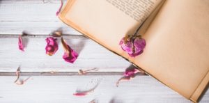 Dried flowers and book on wooden background